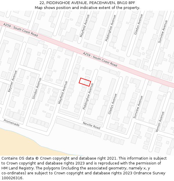 22, PIDDINGHOE AVENUE, PEACEHAVEN, BN10 8PF: Location map and indicative extent of plot