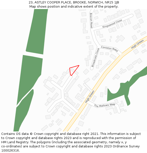 23, ASTLEY COOPER PLACE, BROOKE, NORWICH, NR15 1JB: Location map and indicative extent of plot