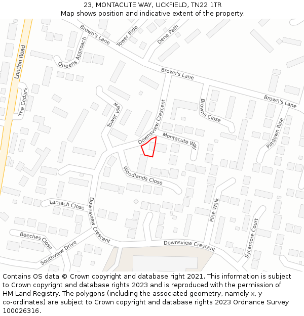 23, MONTACUTE WAY, UCKFIELD, TN22 1TR: Location map and indicative extent of plot