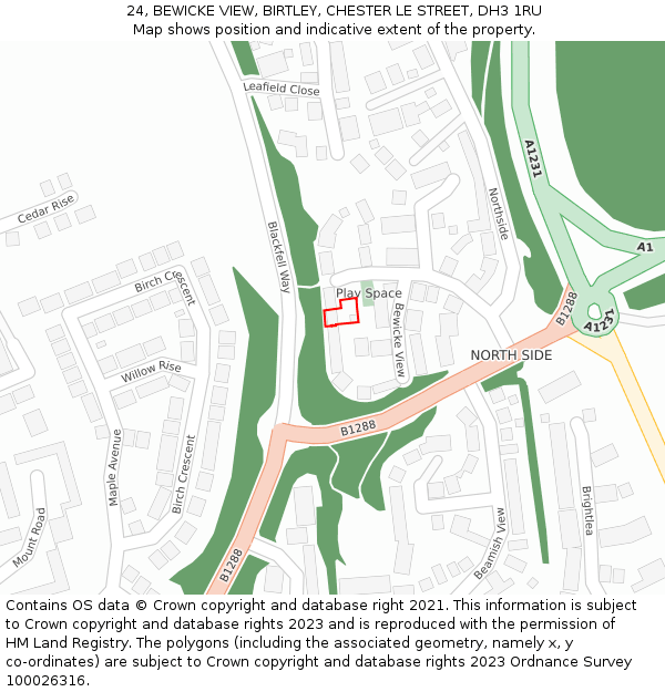 24, BEWICKE VIEW, BIRTLEY, CHESTER LE STREET, DH3 1RU: Location map and indicative extent of plot