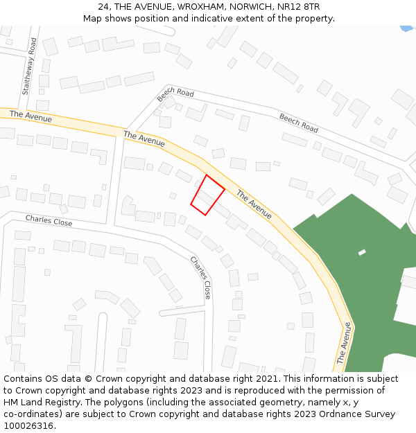 24, THE AVENUE, WROXHAM, NORWICH, NR12 8TR: Location map and indicative extent of plot