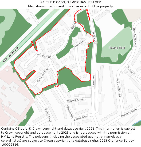 24, THE DAVIDS, BIRMINGHAM, B31 2EX: Location map and indicative extent of plot