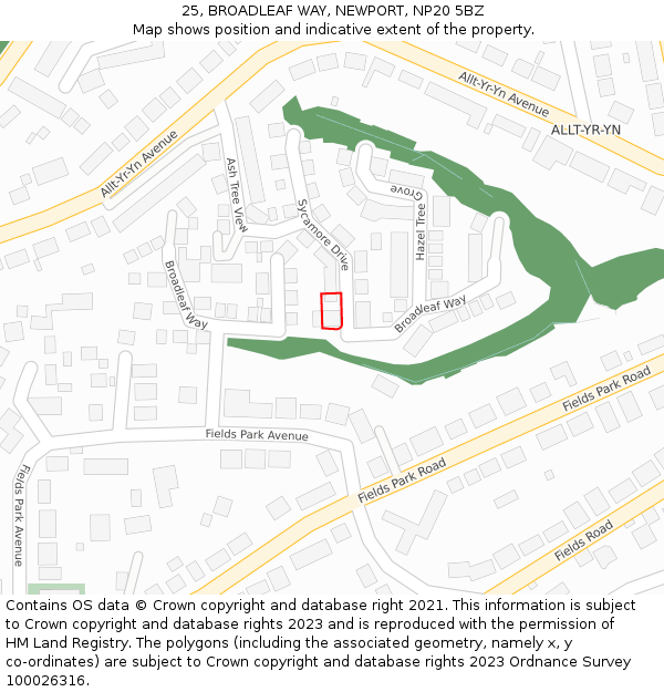 25, BROADLEAF WAY, NEWPORT, NP20 5BZ: Location map and indicative extent of plot