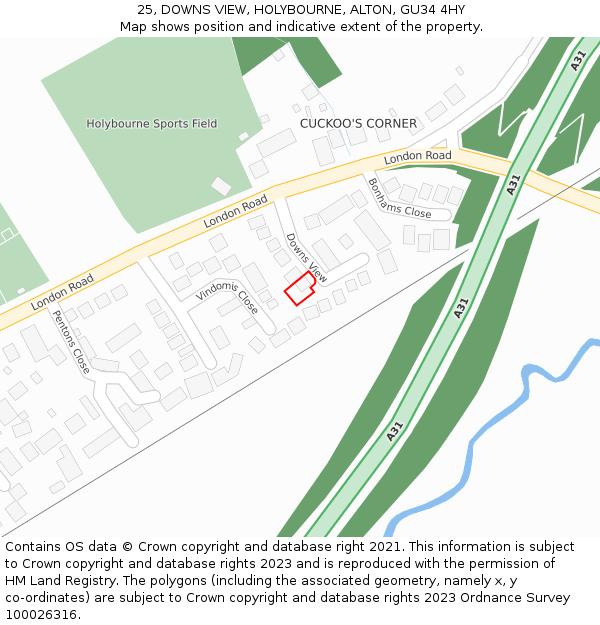 25, DOWNS VIEW, HOLYBOURNE, ALTON, GU34 4HY: Location map and indicative extent of plot