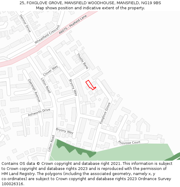 25, FOXGLOVE GROVE, MANSFIELD WOODHOUSE, MANSFIELD, NG19 9BS: Location map and indicative extent of plot