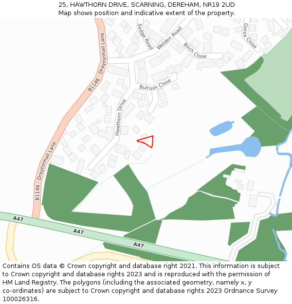 25, HAWTHORN DRIVE, SCARNING, DEREHAM, NR19 2UD: Location map and indicative extent of plot