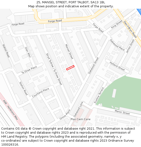 25, MANSEL STREET, PORT TALBOT, SA13 1BL: Location map and indicative extent of plot