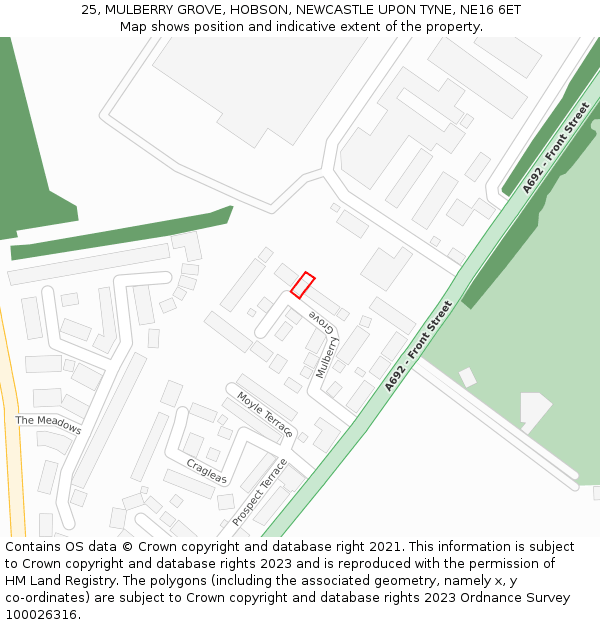 25, MULBERRY GROVE, HOBSON, NEWCASTLE UPON TYNE, NE16 6ET: Location map and indicative extent of plot