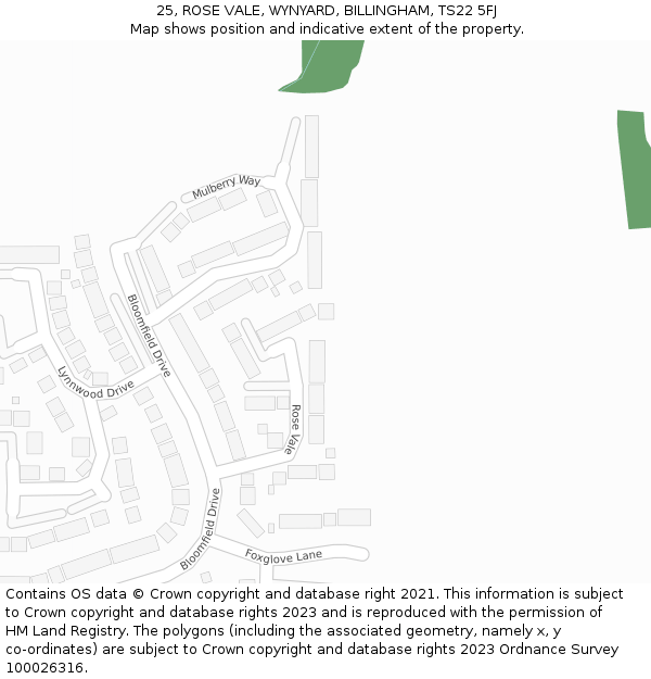 25, ROSE VALE, WYNYARD, BILLINGHAM, TS22 5FJ: Location map and indicative extent of plot