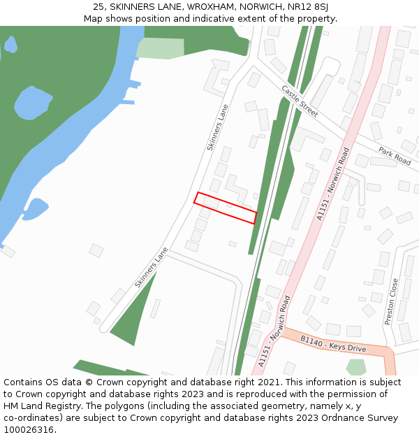 25, SKINNERS LANE, WROXHAM, NORWICH, NR12 8SJ: Location map and indicative extent of plot