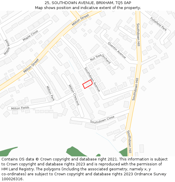 25, SOUTHDOWN AVENUE, BRIXHAM, TQ5 0AP: Location map and indicative extent of plot