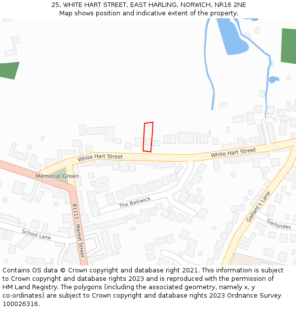 25, WHITE HART STREET, EAST HARLING, NORWICH, NR16 2NE: Location map and indicative extent of plot