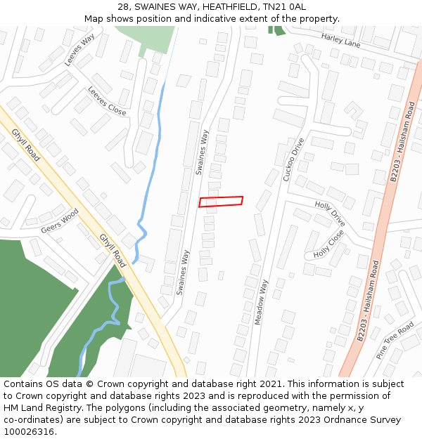 28, SWAINES WAY, HEATHFIELD, TN21 0AL: Location map and indicative extent of plot