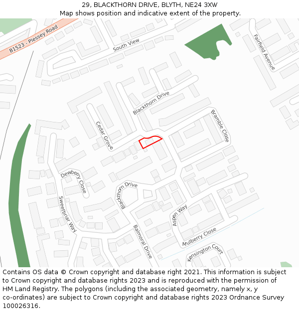 29, BLACKTHORN DRIVE, BLYTH, NE24 3XW: Location map and indicative extent of plot
