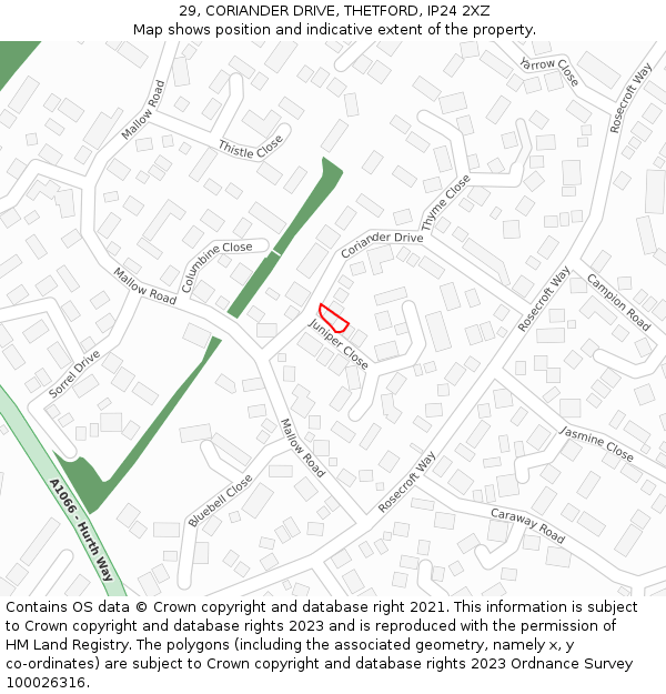 29, CORIANDER DRIVE, THETFORD, IP24 2XZ: Location map and indicative extent of plot