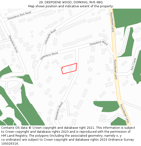 29, DEEPDENE WOOD, DORKING, RH5 4BQ: Location map and indicative extent of plot