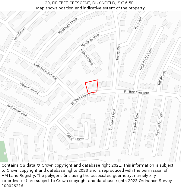 29, FIR TREE CRESCENT, DUKINFIELD, SK16 5EH: Location map and indicative extent of plot