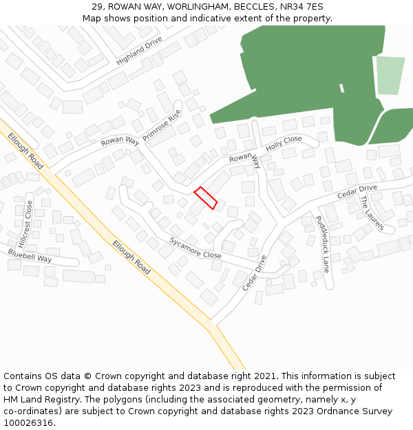 29, ROWAN WAY, WORLINGHAM, BECCLES, NR34 7ES: Location map and indicative extent of plot