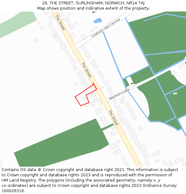 29, THE STREET, SURLINGHAM, NORWICH, NR14 7AJ: Location map and indicative extent of plot