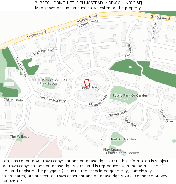 3, BEECH DRIVE, LITTLE PLUMSTEAD, NORWICH, NR13 5FJ: Location map and indicative extent of plot