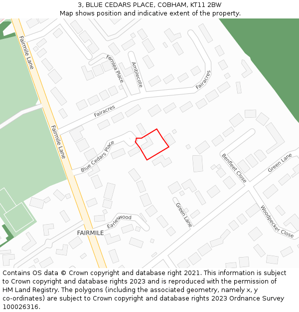 3, BLUE CEDARS PLACE, COBHAM, KT11 2BW: Location map and indicative extent of plot