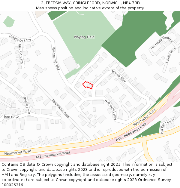 3, FREESIA WAY, CRINGLEFORD, NORWICH, NR4 7BB: Location map and indicative extent of plot