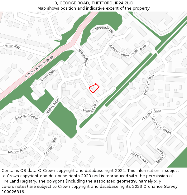 3, GEORGE ROAD, THETFORD, IP24 2UD: Location map and indicative extent of plot