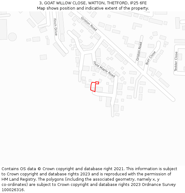 3, GOAT WILLOW CLOSE, WATTON, THETFORD, IP25 6FE: Location map and indicative extent of plot