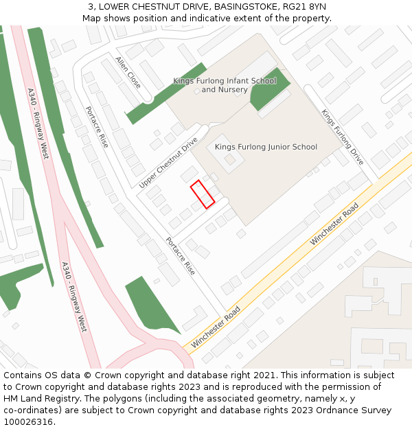 3, LOWER CHESTNUT DRIVE, BASINGSTOKE, RG21 8YN: Location map and indicative extent of plot