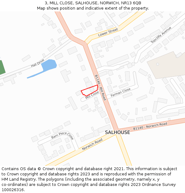 3, MILL CLOSE, SALHOUSE, NORWICH, NR13 6QB: Location map and indicative extent of plot