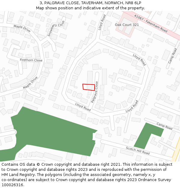 3, PALGRAVE CLOSE, TAVERHAM, NORWICH, NR8 6LP: Location map and indicative extent of plot