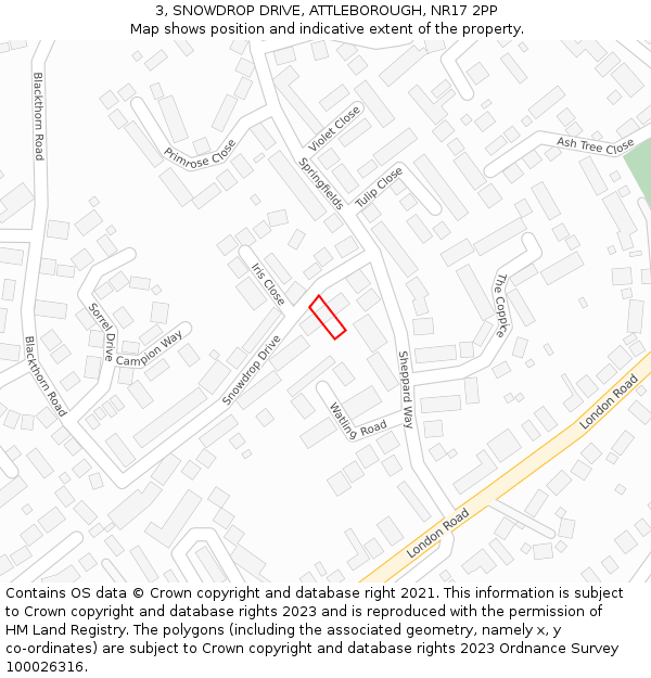 3, SNOWDROP DRIVE, ATTLEBOROUGH, NR17 2PP: Location map and indicative extent of plot