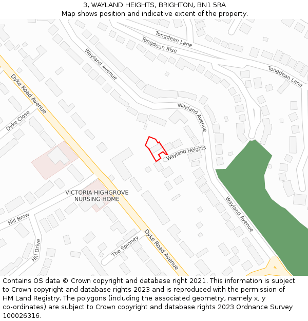 3, WAYLAND HEIGHTS, BRIGHTON, BN1 5RA: Location map and indicative extent of plot