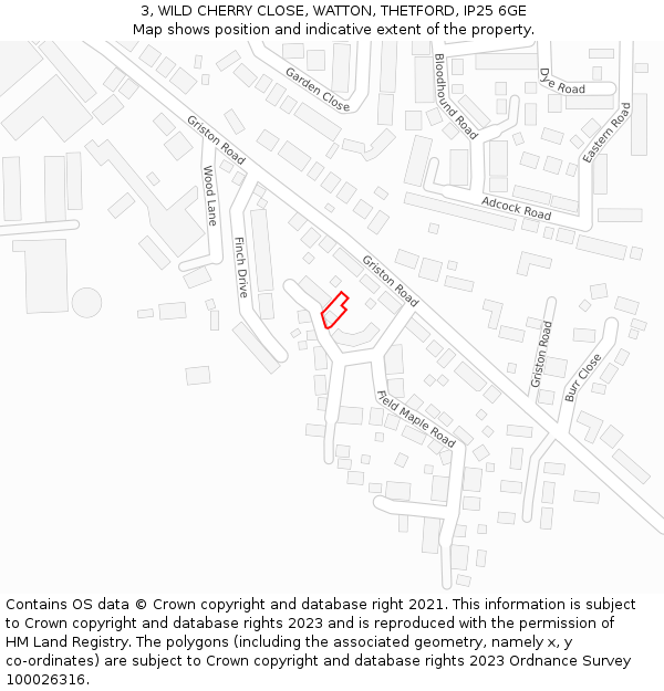 3, WILD CHERRY CLOSE, WATTON, THETFORD, IP25 6GE: Location map and indicative extent of plot