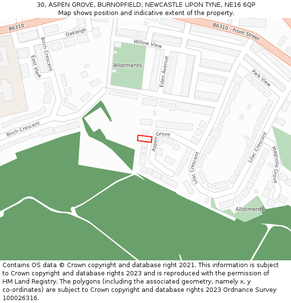 30, ASPEN GROVE, BURNOPFIELD, NEWCASTLE UPON TYNE, NE16 6QP: Location map and indicative extent of plot