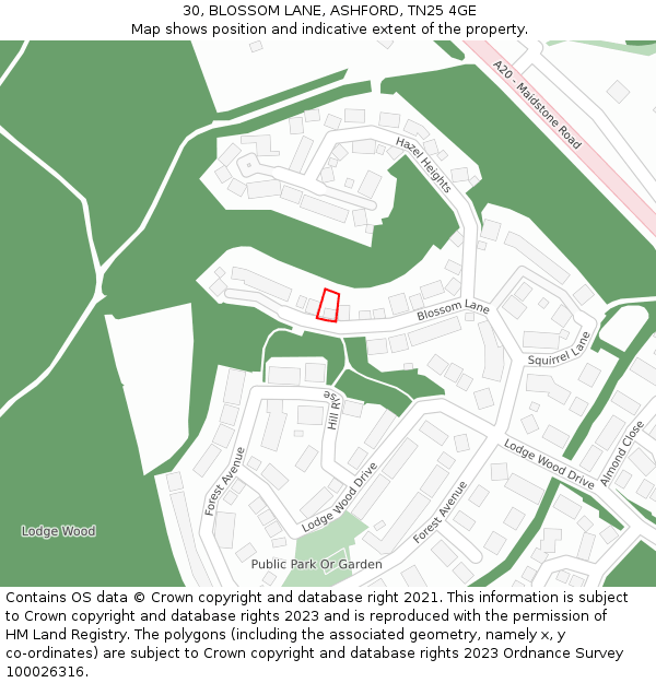 30, BLOSSOM LANE, ASHFORD, TN25 4GE: Location map and indicative extent of plot