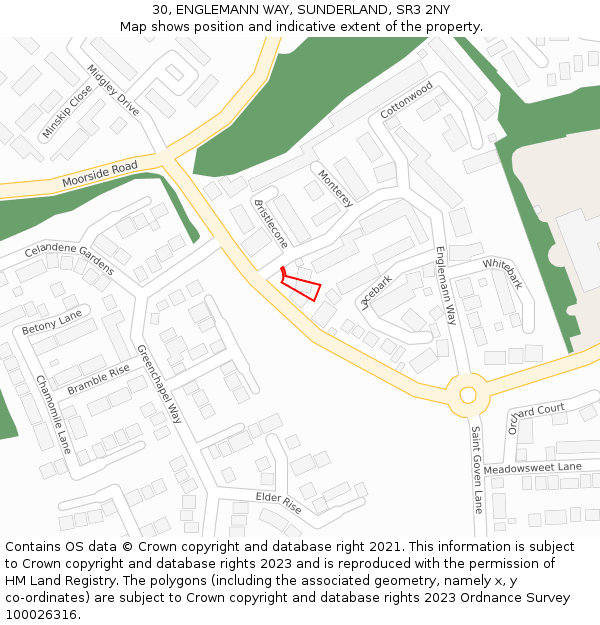 30, ENGLEMANN WAY, SUNDERLAND, SR3 2NY: Location map and indicative extent of plot