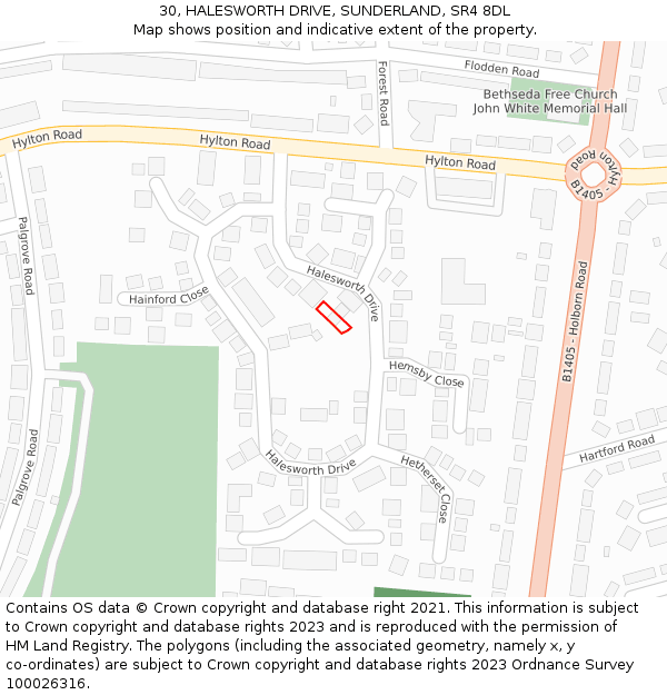 30, HALESWORTH DRIVE, SUNDERLAND, SR4 8DL: Location map and indicative extent of plot