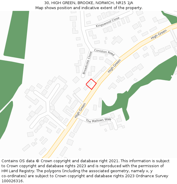 30, HIGH GREEN, BROOKE, NORWICH, NR15 1JA: Location map and indicative extent of plot