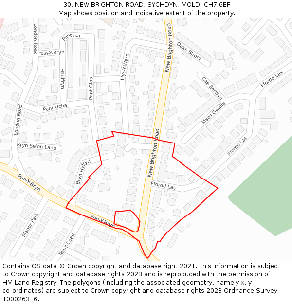 30, NEW BRIGHTON ROAD, SYCHDYN, MOLD, CH7 6EF: Location map and indicative extent of plot