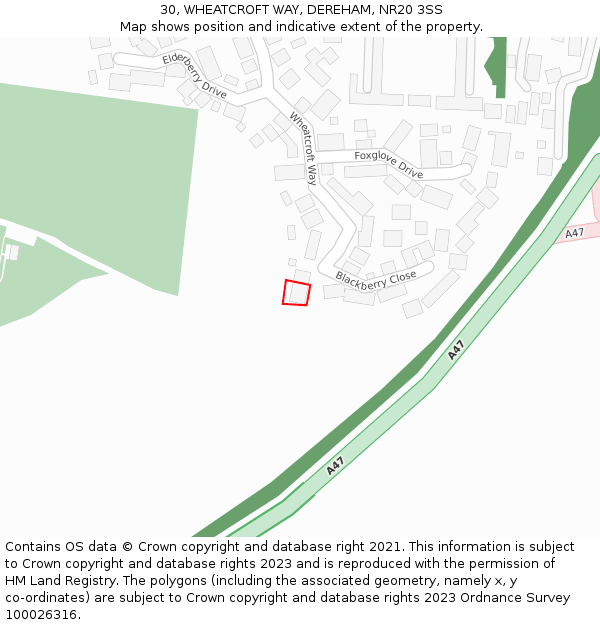 30, WHEATCROFT WAY, DEREHAM, NR20 3SS: Location map and indicative extent of plot