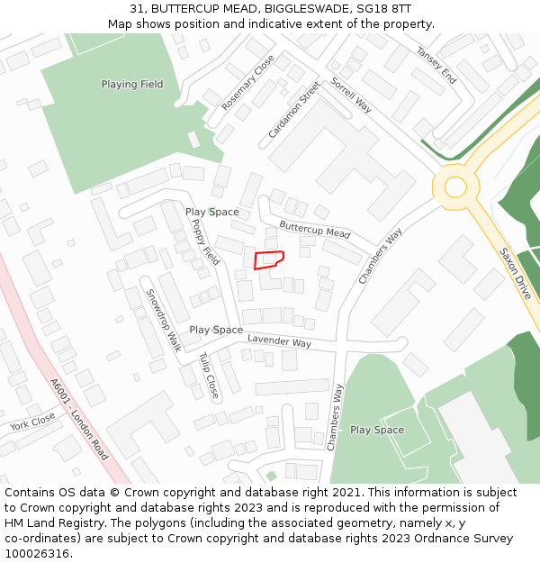 31, BUTTERCUP MEAD, BIGGLESWADE, SG18 8TT: Location map and indicative extent of plot