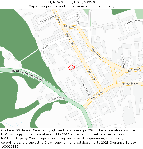 31, NEW STREET, HOLT, NR25 6JJ: Location map and indicative extent of plot