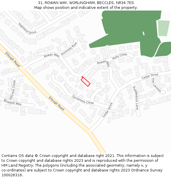 31, ROWAN WAY, WORLINGHAM, BECCLES, NR34 7ES: Location map and indicative extent of plot