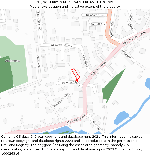 31, SQUERRYES MEDE, WESTERHAM, TN16 1SW: Location map and indicative extent of plot