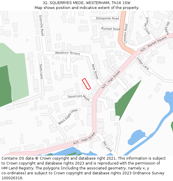32, SQUERRYES MEDE, WESTERHAM, TN16 1SW: Location map and indicative extent of plot