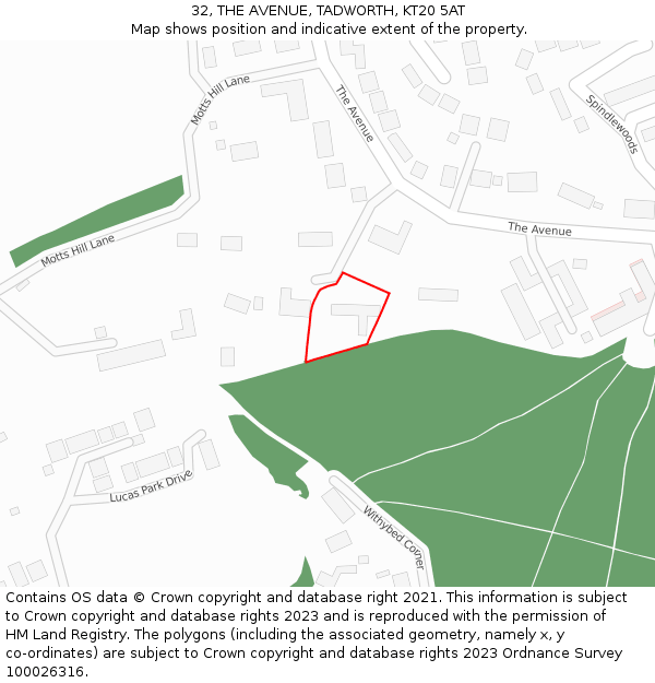 32, THE AVENUE, TADWORTH, KT20 5AT: Location map and indicative extent of plot