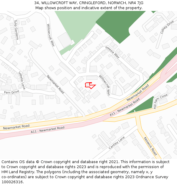 34, WILLOWCROFT WAY, CRINGLEFORD, NORWICH, NR4 7JG: Location map and indicative extent of plot