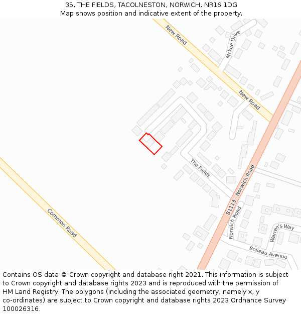 35, THE FIELDS, TACOLNESTON, NORWICH, NR16 1DG: Location map and indicative extent of plot