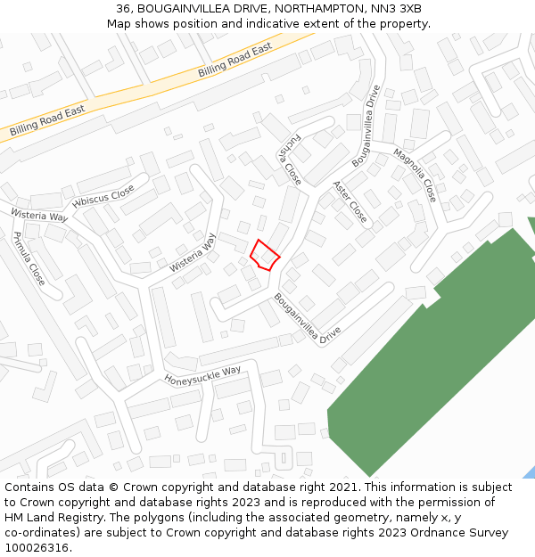 36, BOUGAINVILLEA DRIVE, NORTHAMPTON, NN3 3XB: Location map and indicative extent of plot